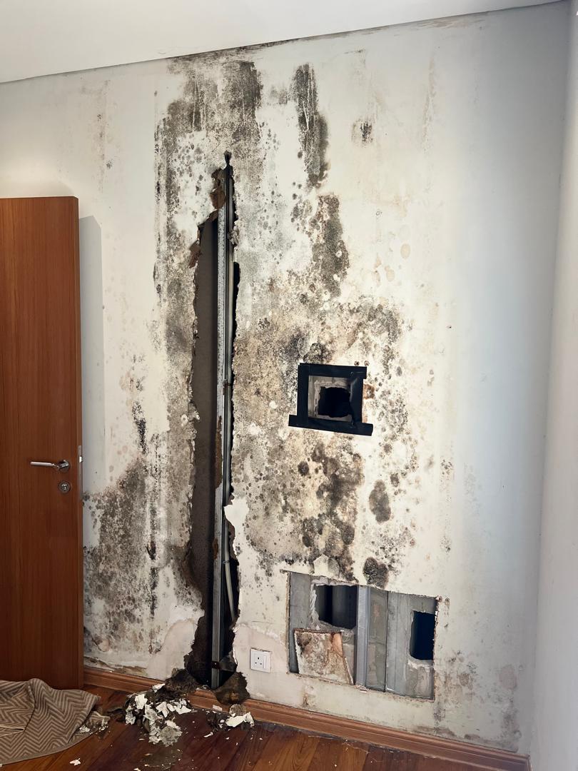 WhatsApp Image 2025-07-07 at 10.43.44_e1d74d5f