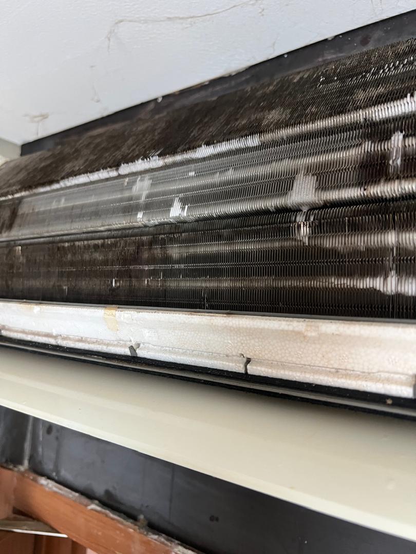 WhatsApp Image 2025-07-07 at 10.43.44_f774ffe5